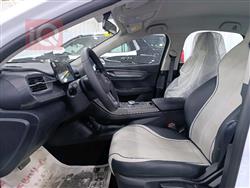 بي واي دي ديستروير 05